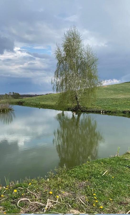 Agroturystyka Nad Jeziorem Silickim Ilinscy Silice ภายนอก รูปภาพ