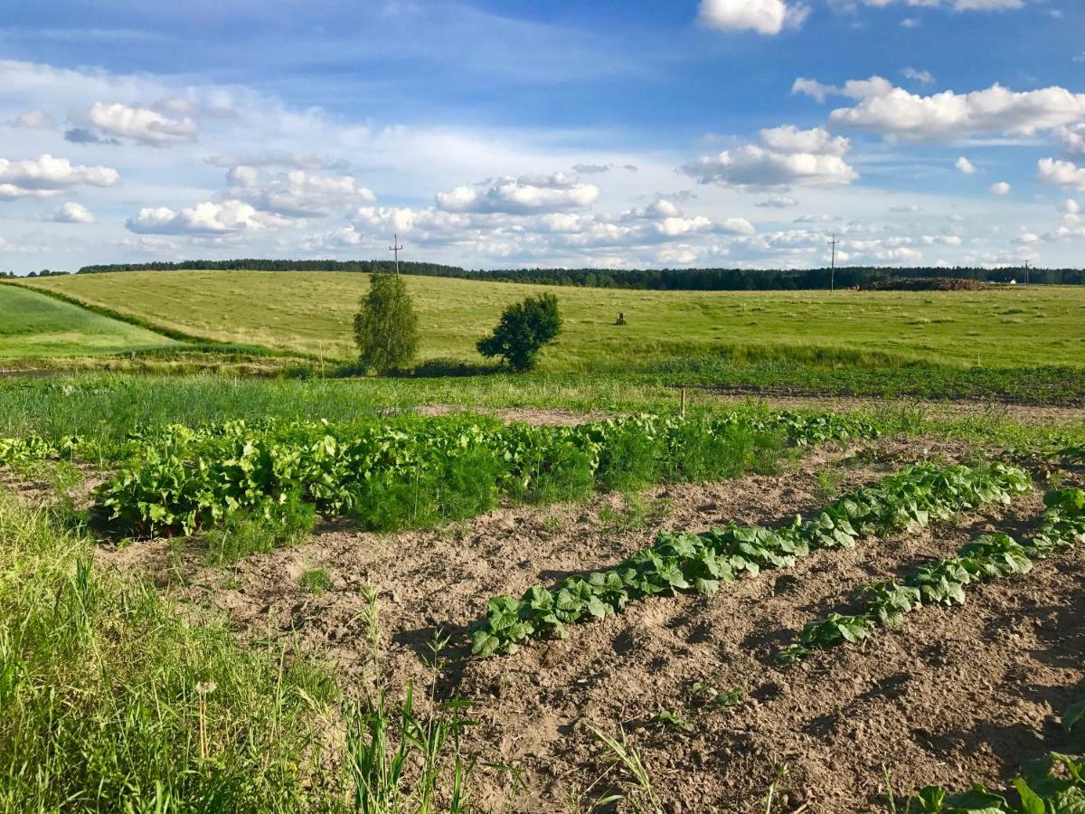 Agroturystyka Nad Jeziorem Silickim Ilinscy Silice ภายนอก รูปภาพ